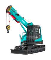 Telescopic Crawler Cranes